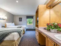 Snow Cap Inn Hotels in Newry