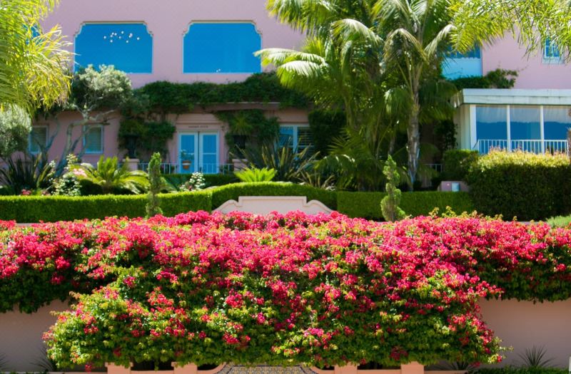 La Valencia Hotel photo 4