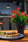 Hotel Qualitel Plus - Bữa sáng