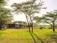Kandili Camps Hotels in Mara