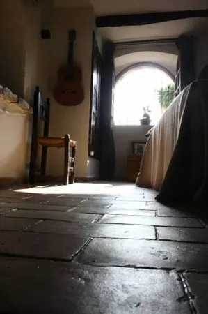 La Maison Aux Bonsais