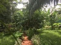 Amadi Villa - Villas