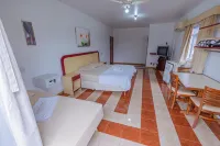 Itacuruça Palace Hotel Hotels in Itaguai