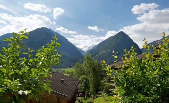 Penthouse Tauernfenster, Neukirchen