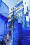 Kesar Heritage Guest House - Ramah Hewan Peliharaan