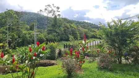 Cabinas El Pilon Rio Celeste Отели в г. Рио Наранхо