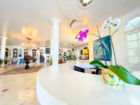 Jamaica Palace Hotel Hotels in Drapers