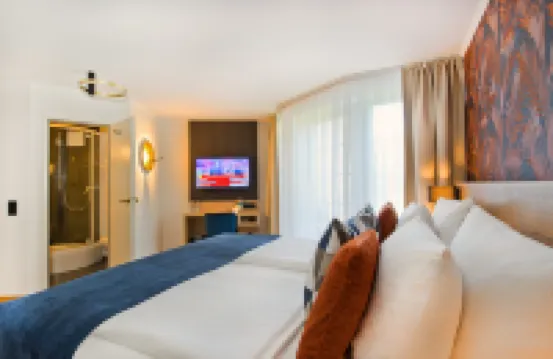 阿馬迪厄斯中庭酒店 酒店