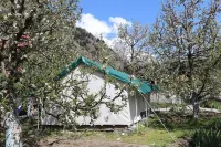 Apple Orchard Farm and Camping