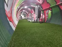 Alex Hotel and Suites