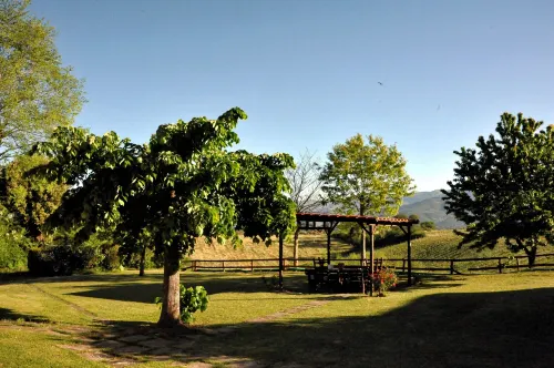 Il Pino Bioagricoltura Hotels in San Giustino Valdarno