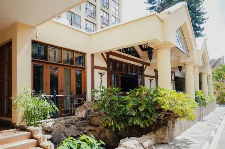 Sarovar Portico印度的蒼鷺