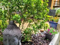 Hotel Restaurant Herard Hotels in 