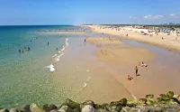 Tavira Palm Tree by Homing