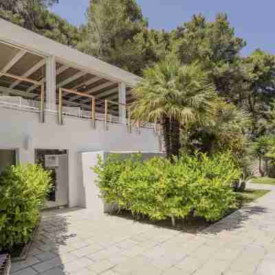 Hotiday Room Collection - Mattinata Faraglioni Hotel Exterior