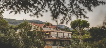 Ida Trio Отели в г. Эдремит-Корфез