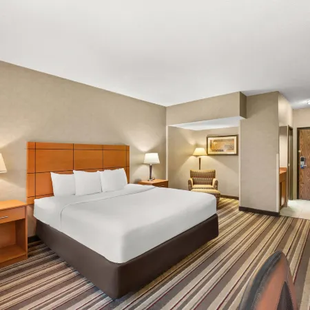 Comfort Inn Metro Airport