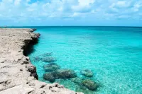 Beach Apartment steps from mangel halto beach