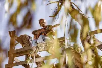 Comfortable guest house with sauna, Nordic bath and natural swimming pool. Hotel a Heuvelland