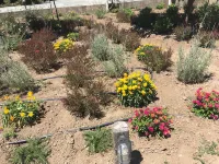 Charming Cycladic Farm Hoteles en Sifnos