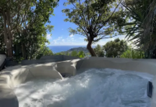 Tropical Orchid-Just for Two-Winter Storm Sale- Hot Tub