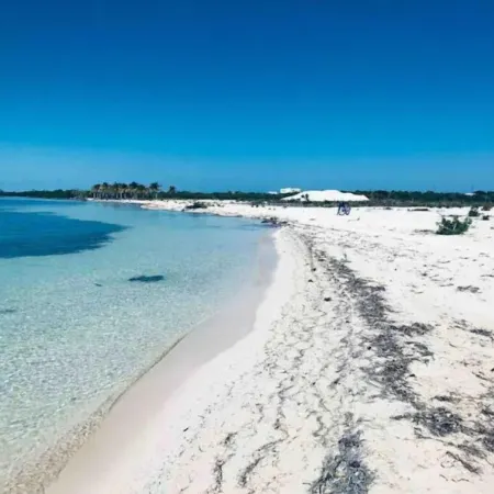 Royal Palm @ Palm Life Belize: Upscale condo overlooking the Caribbean Sea! Отели рядом с достопримечательностью «Остров Кей Колкер»