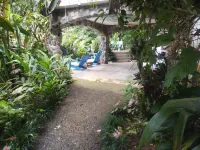 5 Bedroom, 3 level Treehouse Style Home near Corcovado National Park, and Beach.