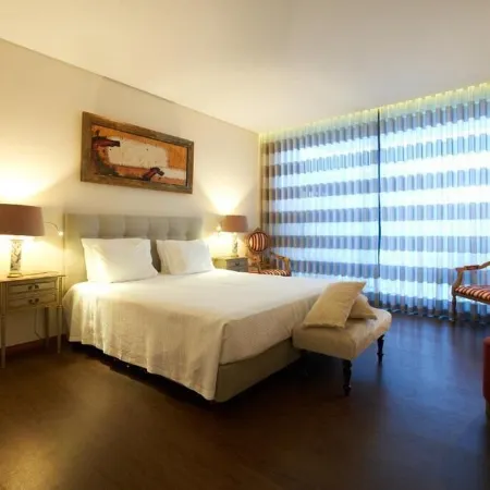 6 bedrooms/suites, infinity pool, gymnasium, gardens, barbecue - Douro Valley