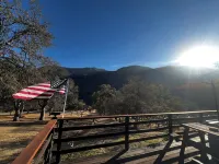Oak Grove Getaway: Unique & Secluded Cabin with Breathtaking  Views, Wifi