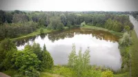 Cottage Retreat on 11 Acres!
