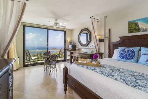 Honeymoon/Romantic Private Suite with Ocean View & Pool; Over 150 5 Star Reviews