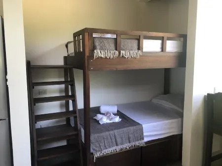 Kraken Cabin-escape in the jungle, abundance of wildlife,  walk to Golfito Bay.