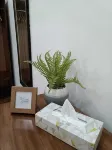 Hotel Punta Colibri