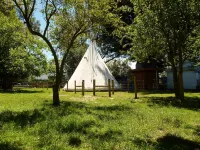 Wacky Stays - Unique Farm-Stay Glamping Rentals, Free Animal Feeding Tours