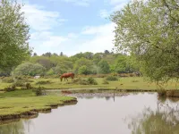 Riverside House فنادق في Redlynch