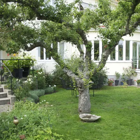 Villa Ingrid