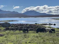 Dun Buidhe - Хоумстей