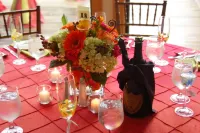 The Summit Resort Hotels in Laconia