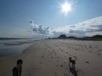 Southampton Inn - Beach