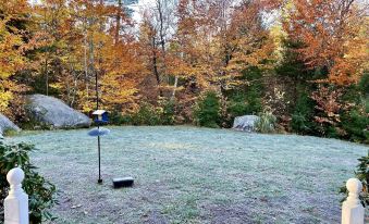 Blueberry More Limit 17 Home