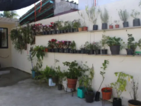 Hotel Boutique la Orquidea Hoteles en Coatepec