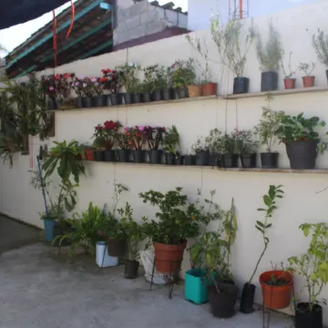 Hotel Boutique la Orquidea