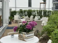 Pension am Meer Hotels in Baabe