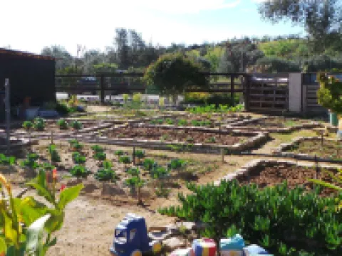 Centre Algarve Hotéis em Olhao