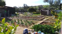 Centre Algarve