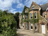 The Ivy Apartments - Apartments