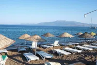 Ekin Assos