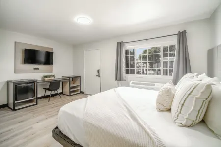 Flamingo Motel - San Ysidro Отели рядом с достопримечательностью «Лас Америка Премиум Аутлетс»