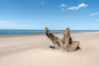 All The Waters Retro Home on Lake Michigan- PRIVATE BEACH-Large, shaded backyard Hotels in Hagar Township