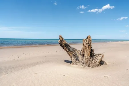 All The Waters Retro Home on Lake Michigan- PRIVATE BEACH-Large, shaded backyard